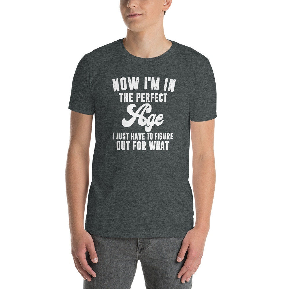 I&#39;m In The Perfect Age T-Shirt | Retirement Gift, Funny Birthday Shirt, Old People Shirt, Midlife Crisis Tee, Novelty Shirt, Unisex